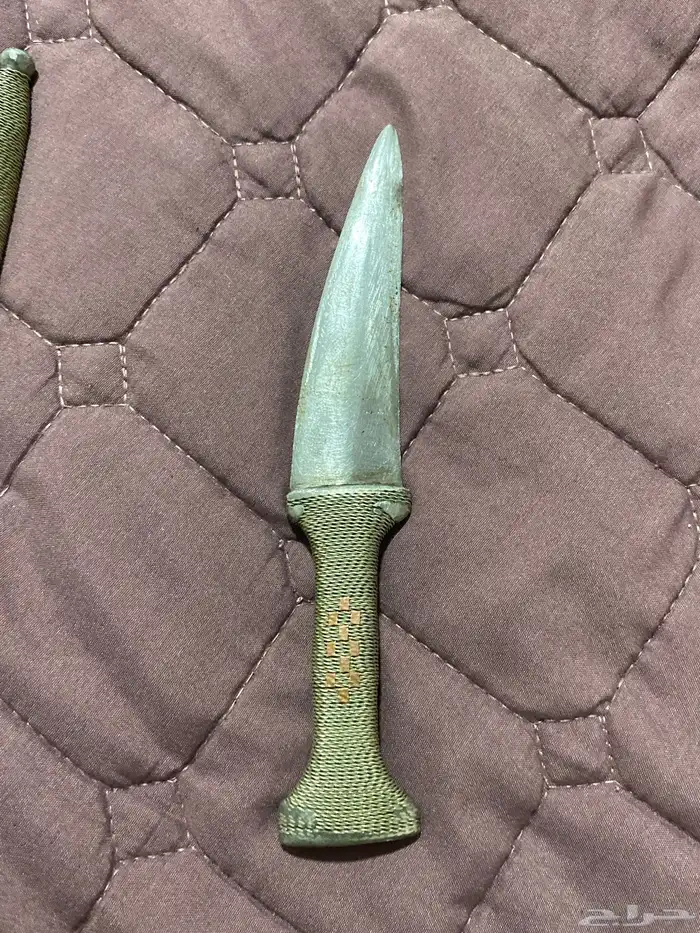 جنبيه صغيره 1