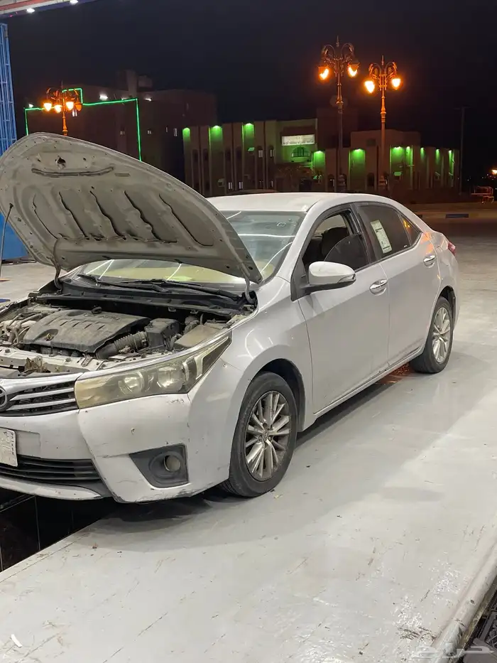 كورلا جنوط بصمه للبيع 2