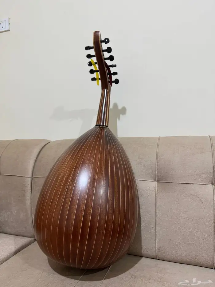 عود زرياب مستعمل 0