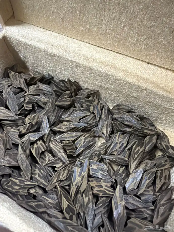 عود كمبودي تايقر طبيعي محسن - يتميز العود بزبد كثيف وثبات 0