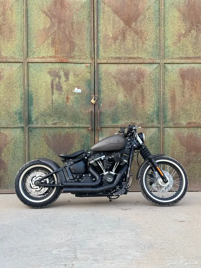 2019 street bob Softail bobber style 2