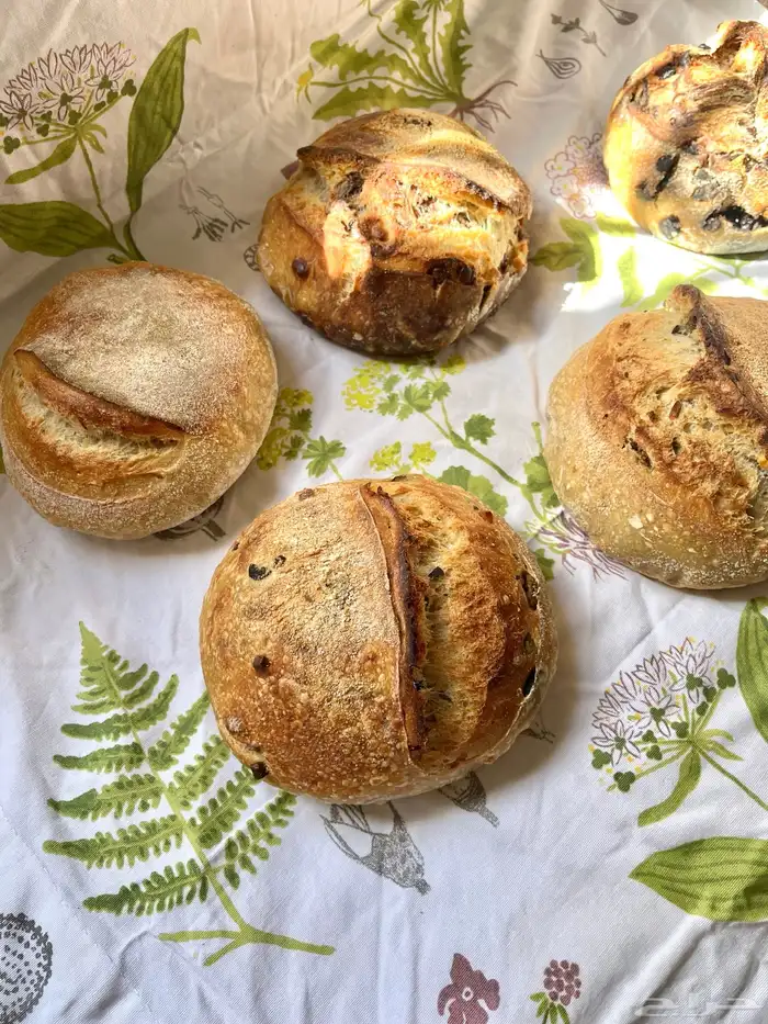 خبز الساوردو مخمر بخميرة طبيعية 4