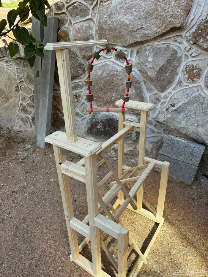 استاندات طيور 3