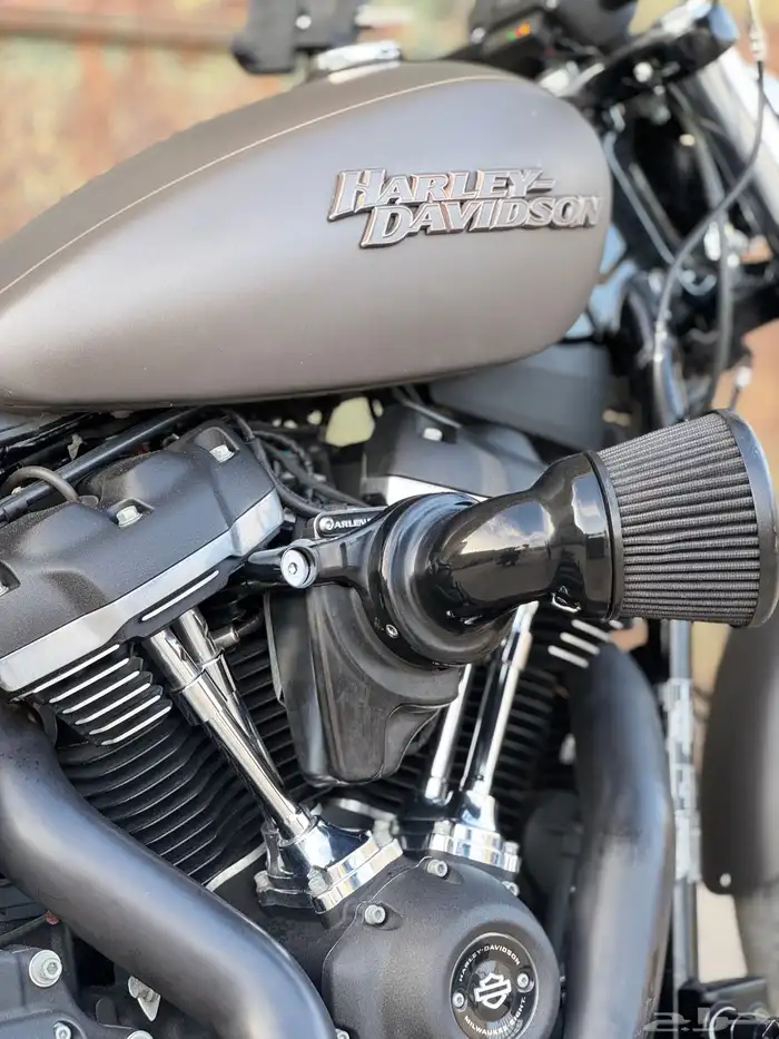 2019 street bob Softail bobber style 8