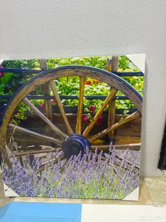 اصناف متنوعه من المطبخ والرياضه واخرى 10