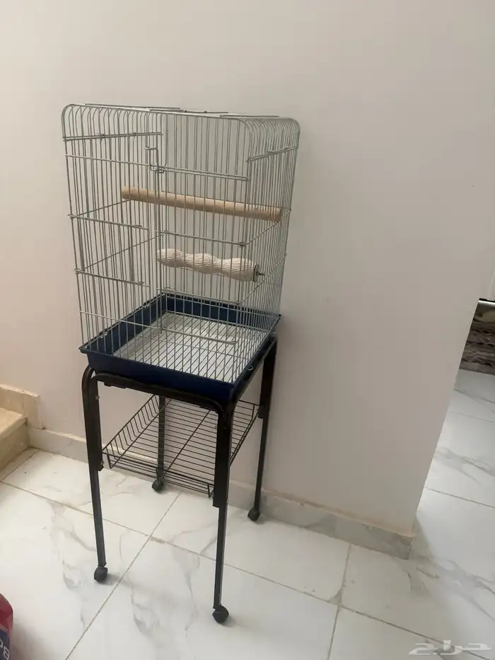 قفص   استاند كاسكو   او اي ببغاء 0