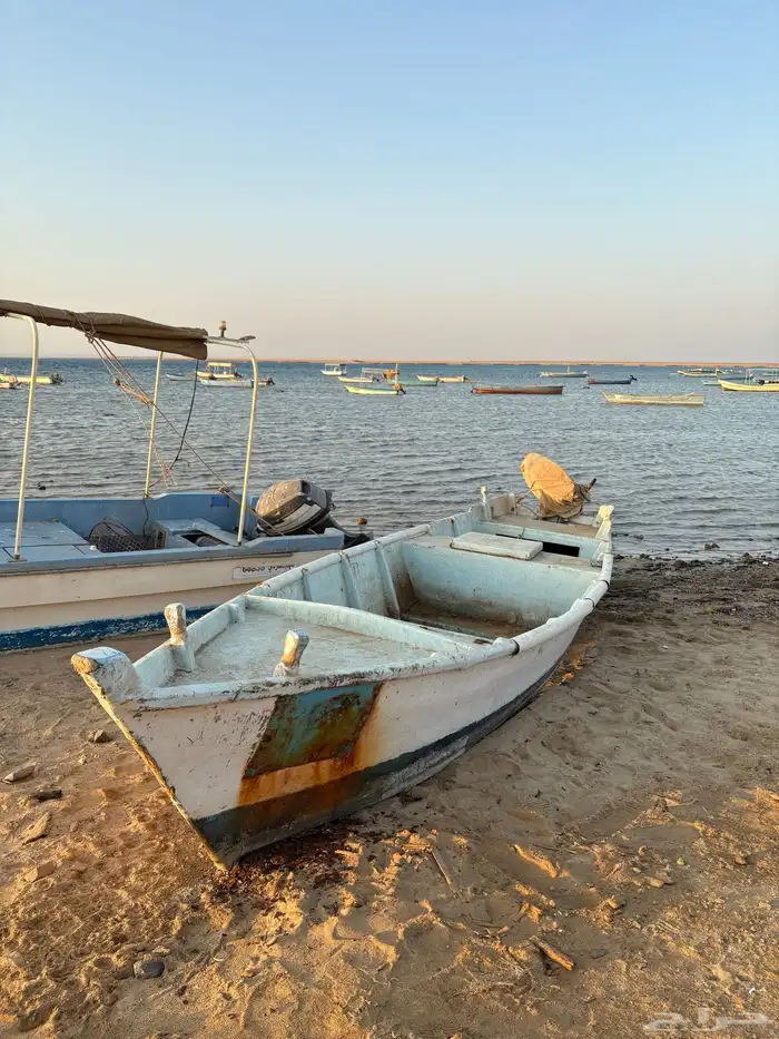 قارب هوري للبيع 1