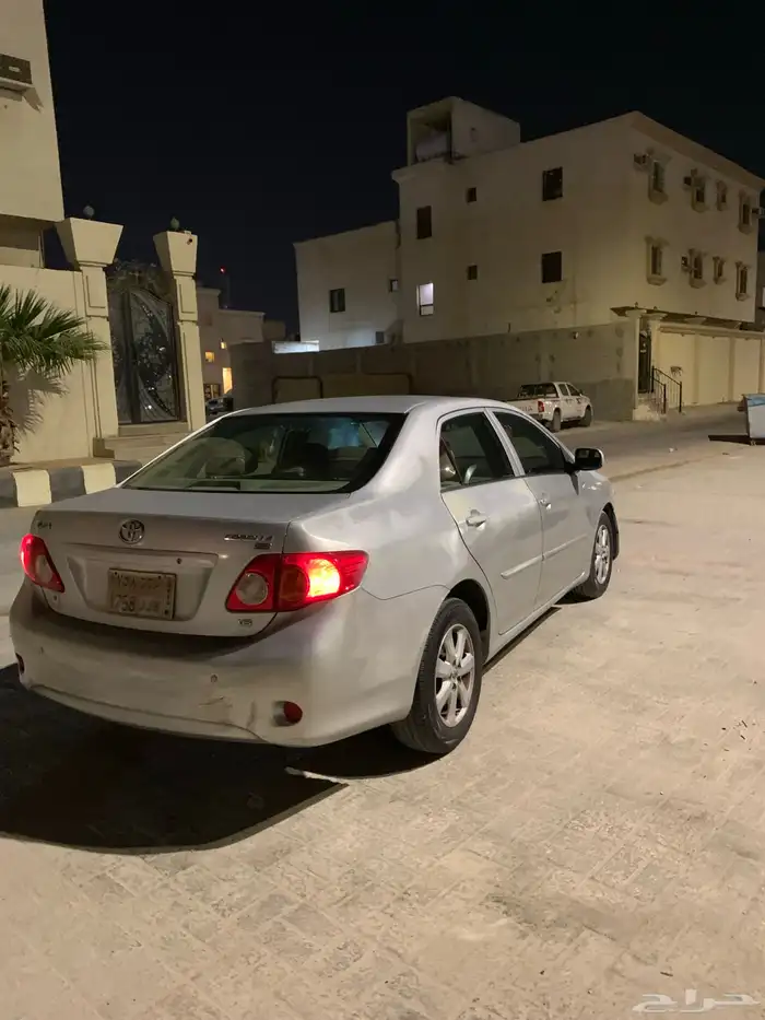 كورلاه غير عادي 3