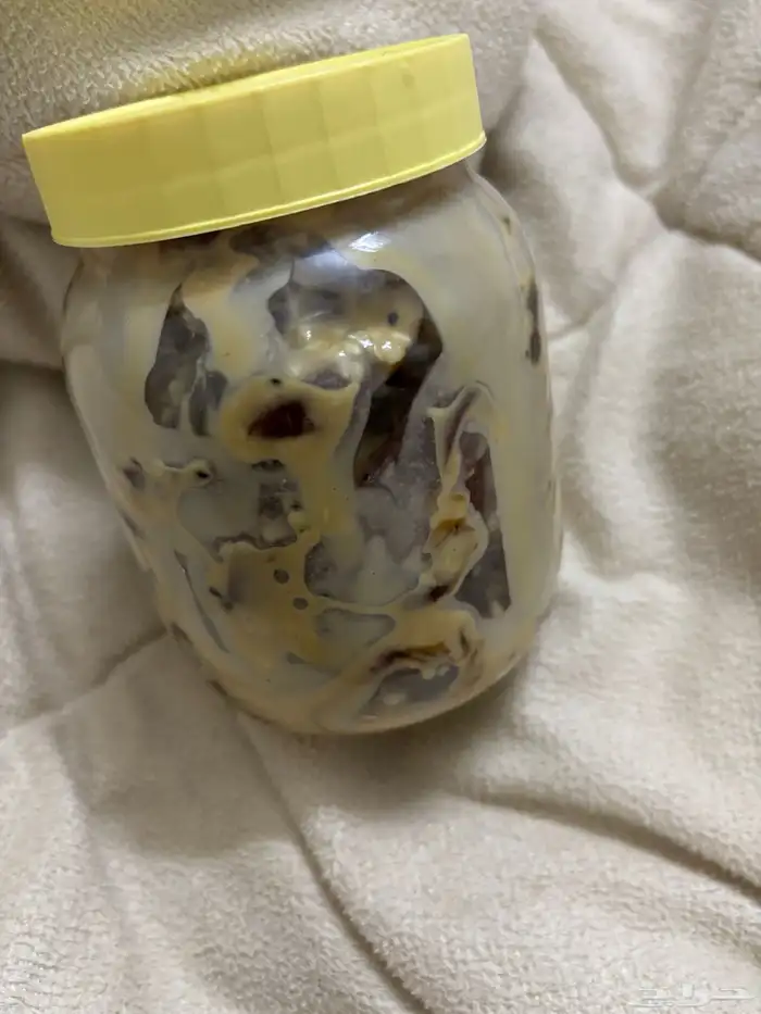 خلطة تمر صحيه تعطيك طاقه وتستعيد نشاطك وتزيد الوزن 1