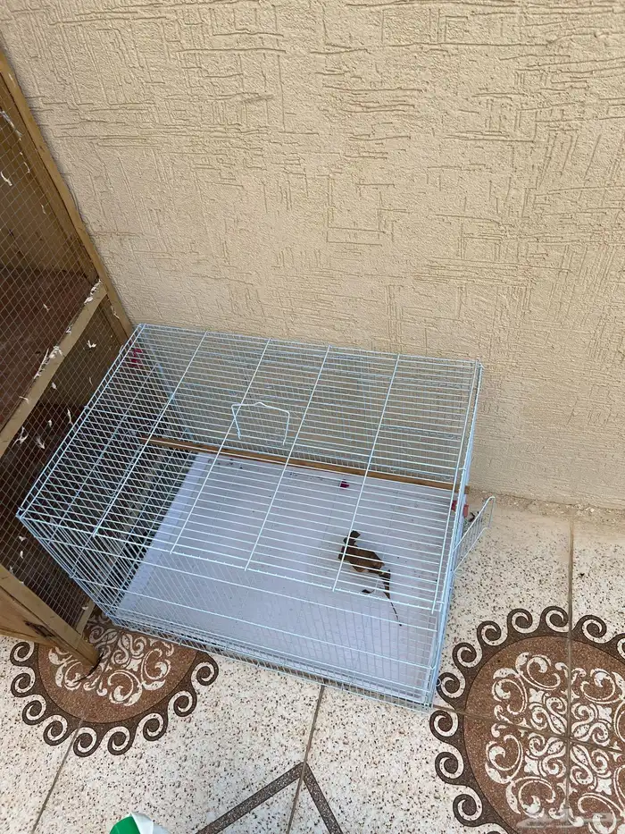 شبكيت للبيع 3