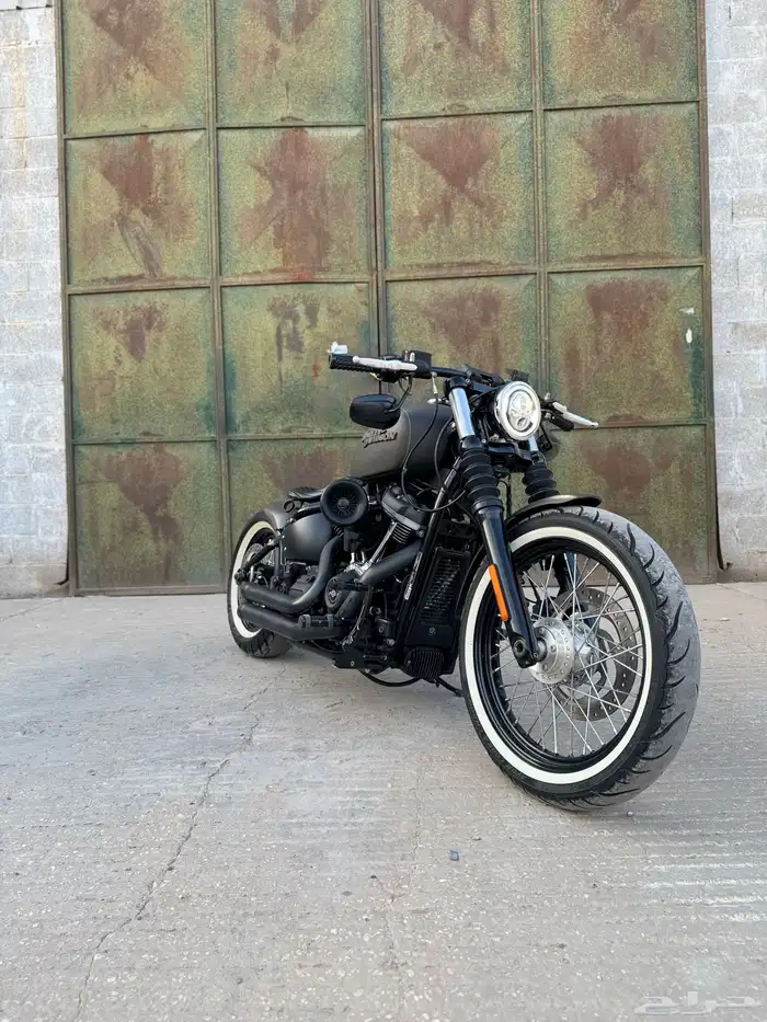 2019 street bob Softail bobber style 7