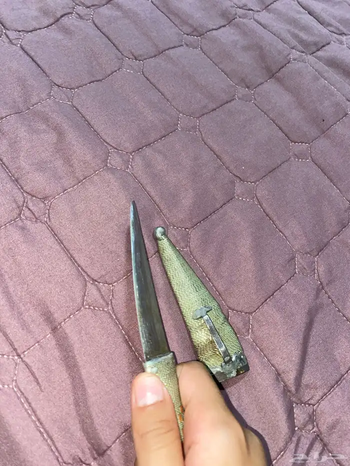 جنبيه صغيره 4