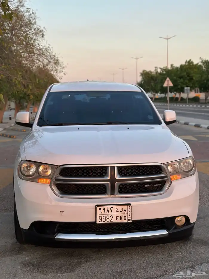 درانجو 2013 11