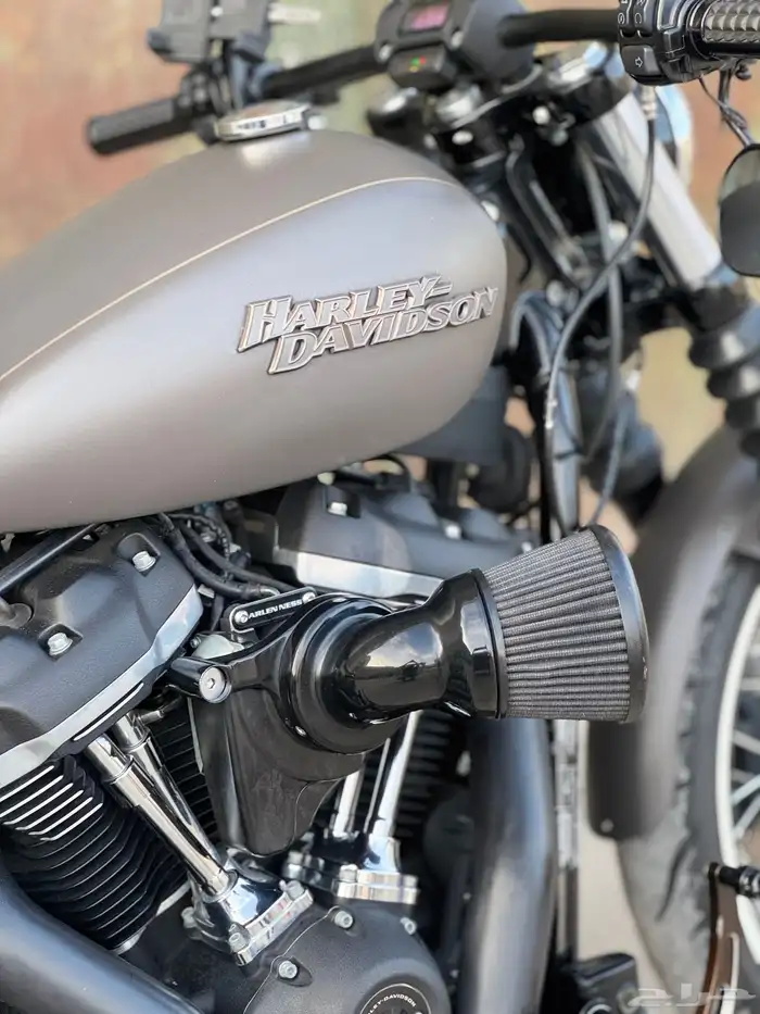 2019 street bob Softail bobber style 5