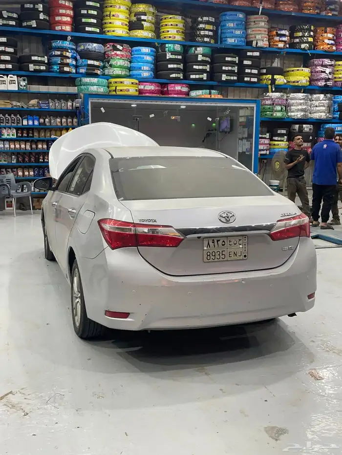 كورلا جنوط بصمه للبيع 3