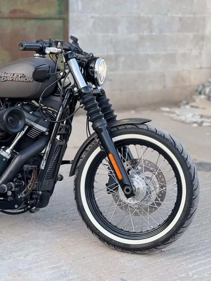 2019 street bob Softail bobber style 11