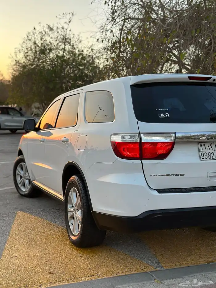 درانجو 2013 12