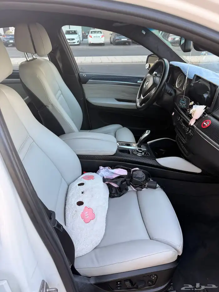 BMW X6 2010 0