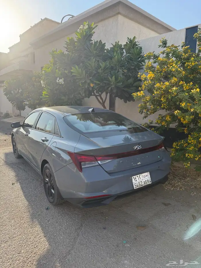 للبيع النتراء 2023 نص فل 3