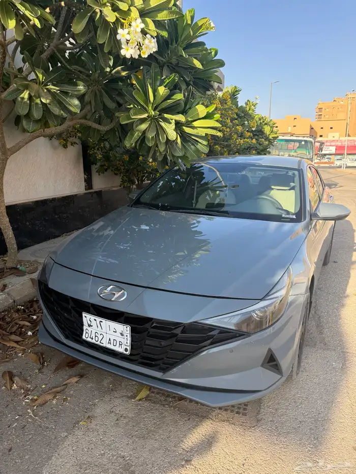 للبيع النتراء 2023 نص فل 2