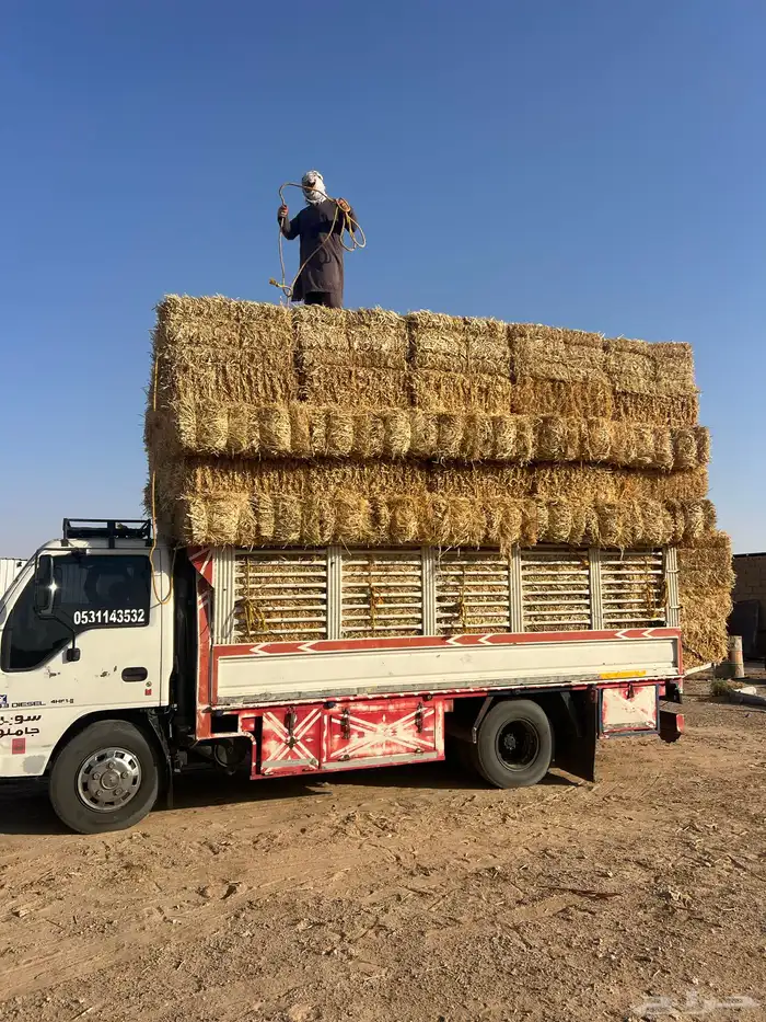 تبن بر صافي 1