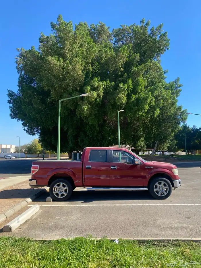 فورد F150 موديل 2014   غمارتين   فئة XLT   دبل 5