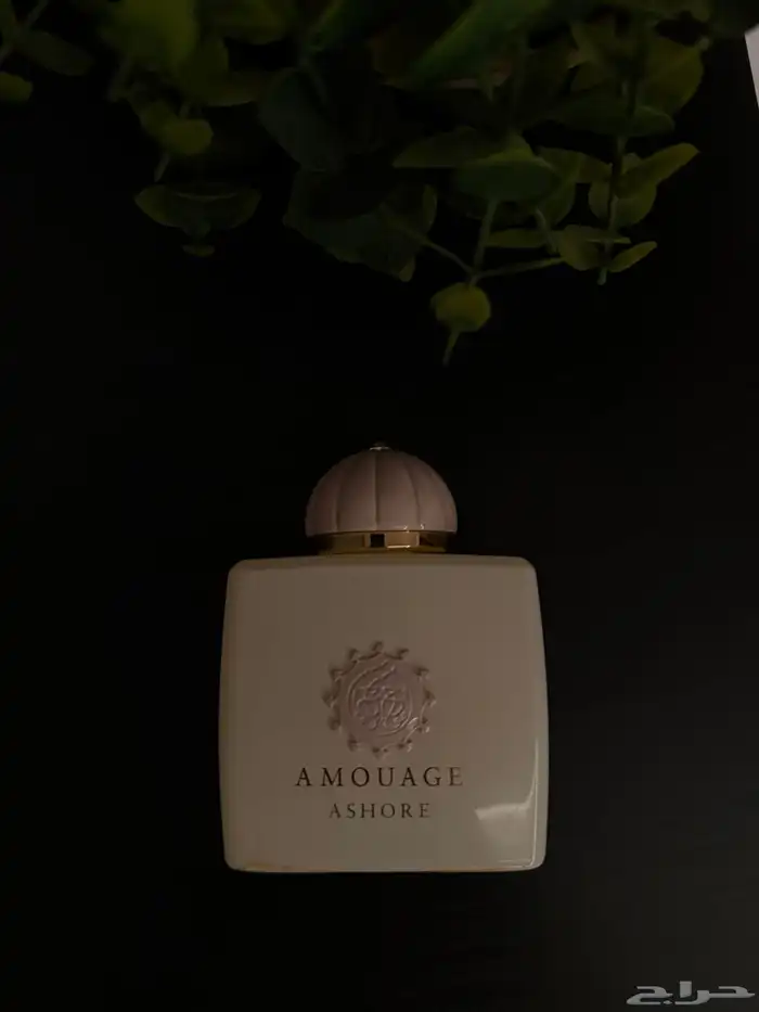 عطر امواج 0