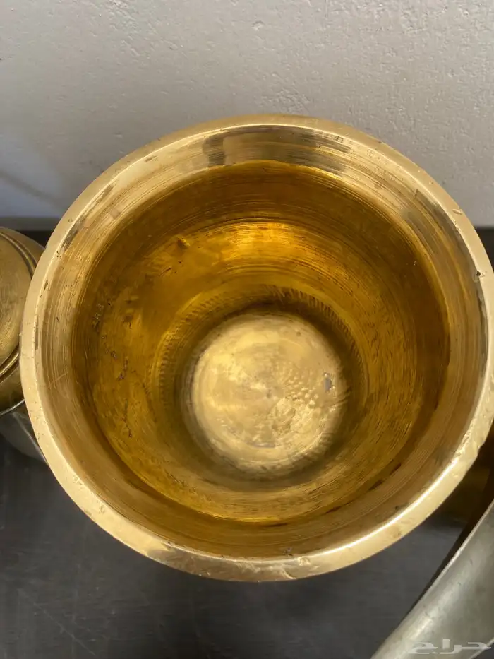 نجر سوري ودلتين 5