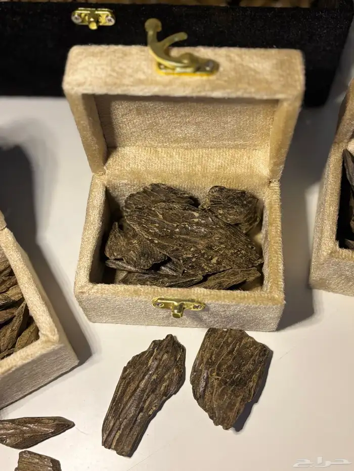 ريحة تثبت.. وسعر يرضيك.. وتوصيل مجاني داخل تبوك 3