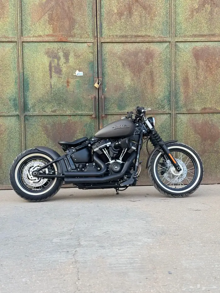 2019 street bob Softail bobber style 1