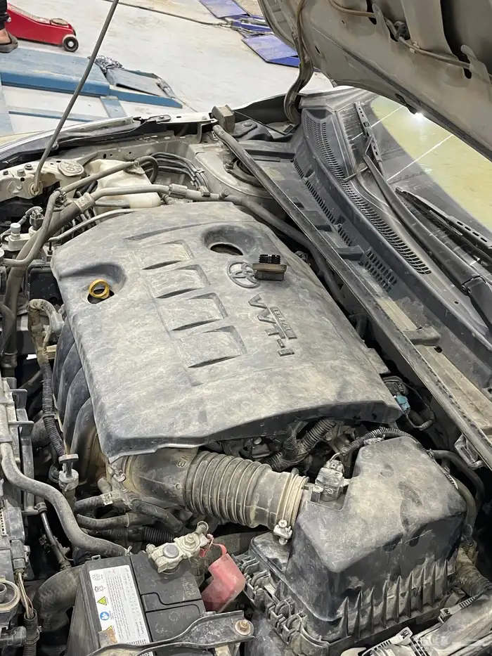 كورلا جنوط بصمه للبيع 4