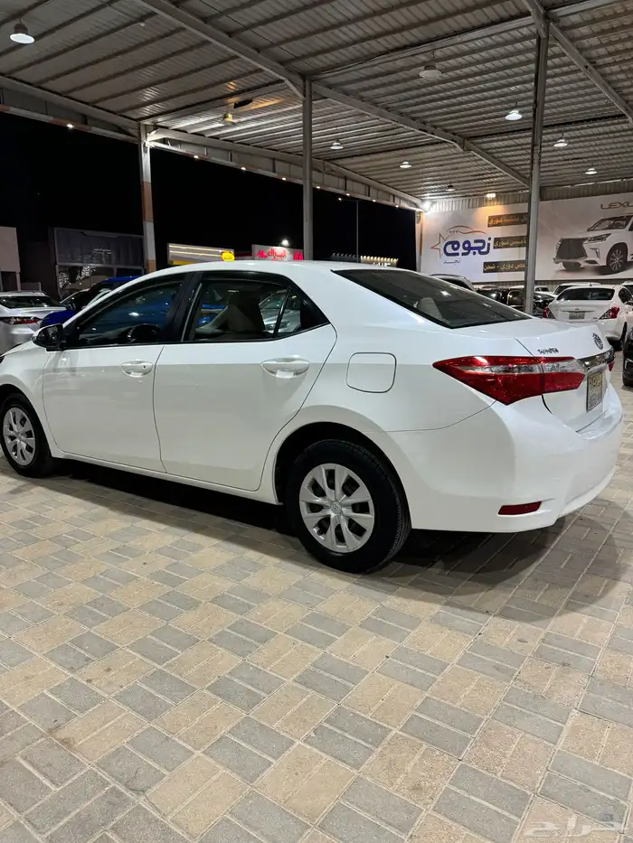 كورلاء 2015 الممشى161كم 5