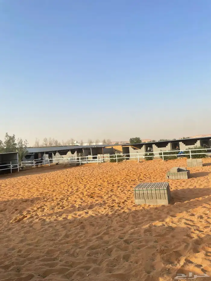 مربط خيل مساحه 2500 قسمين خيل استراحه 0