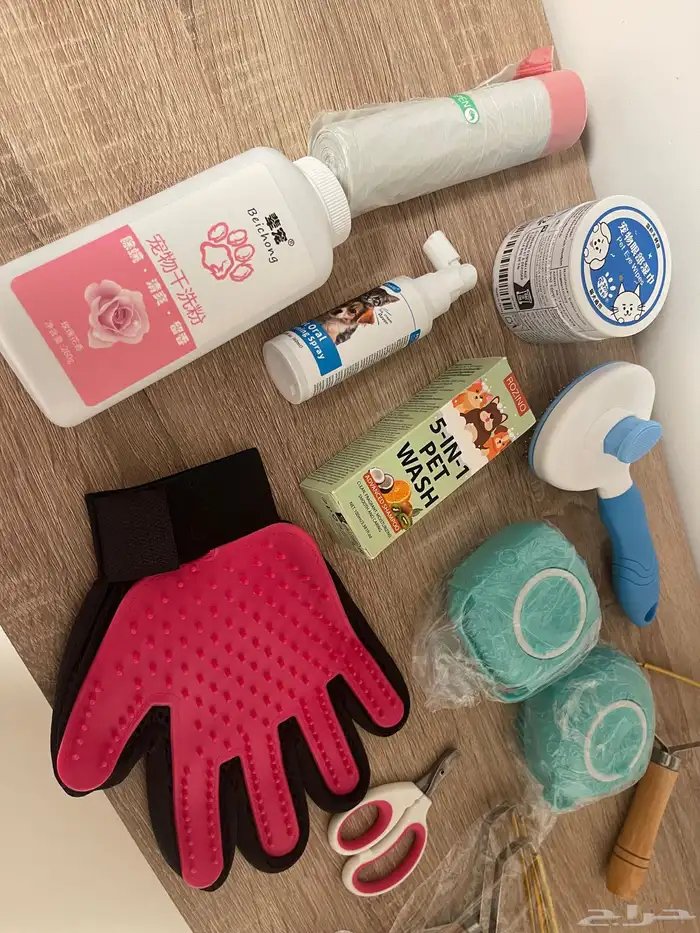 قطين ذكور - تم تبنيهم 10