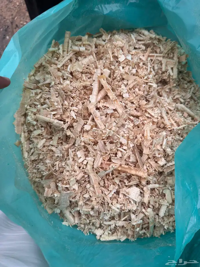 نشارة دواجن 0