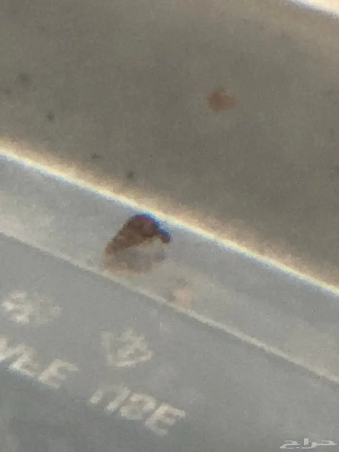 حلزون ترمبت ورامشون 0