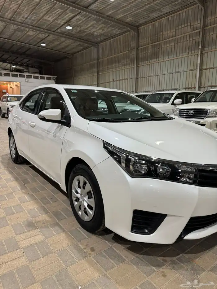 كورلاء 2015 الممشى161كم 1