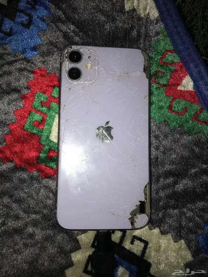 ايفون 11 عادي 4