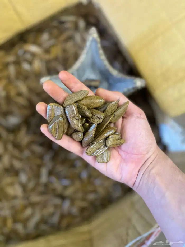 مروكي بيور لاصحاب المتاجر والمحلات 0