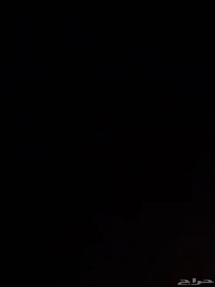قط ذكر للتزاوج 0