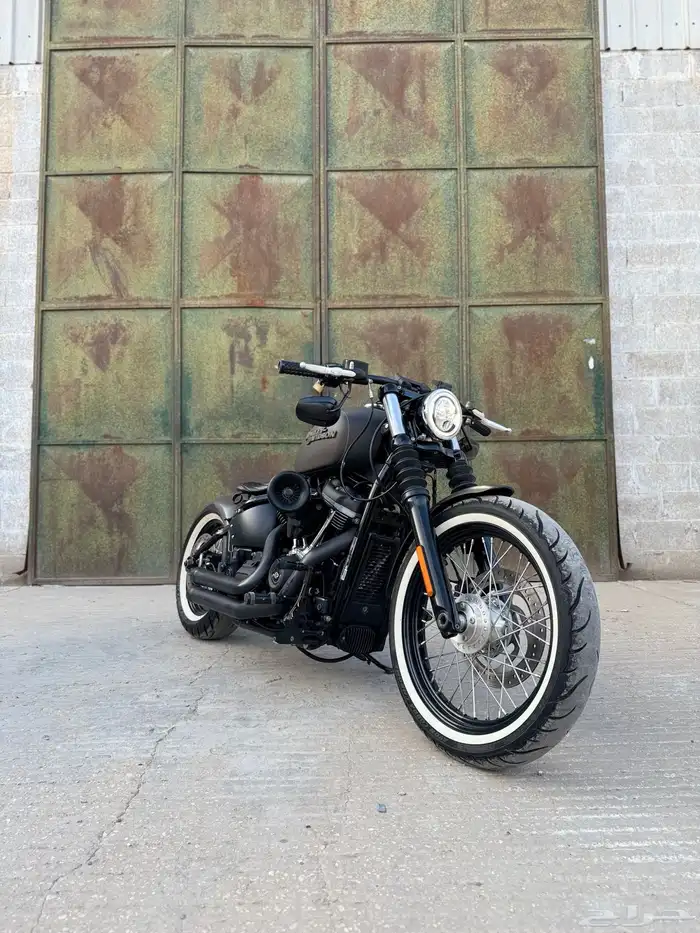 2019 street bob Softail bobber style 6