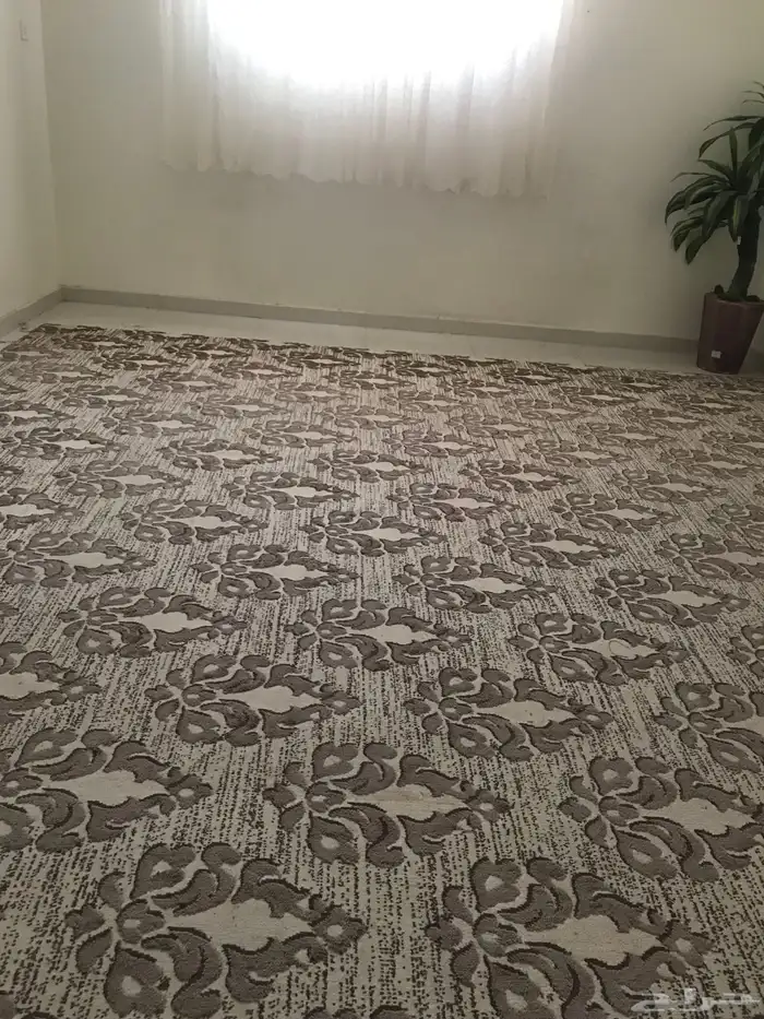 فرشه وشاشه 2