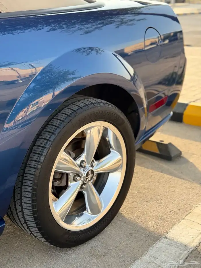موستنج GT كشف مخزن وكالة نادر جدا 10