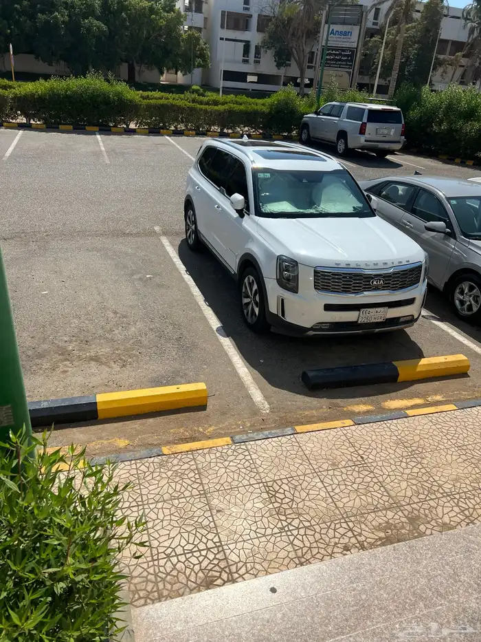 تيلورايد2020فل كامل اعلى فئة نظفية 6