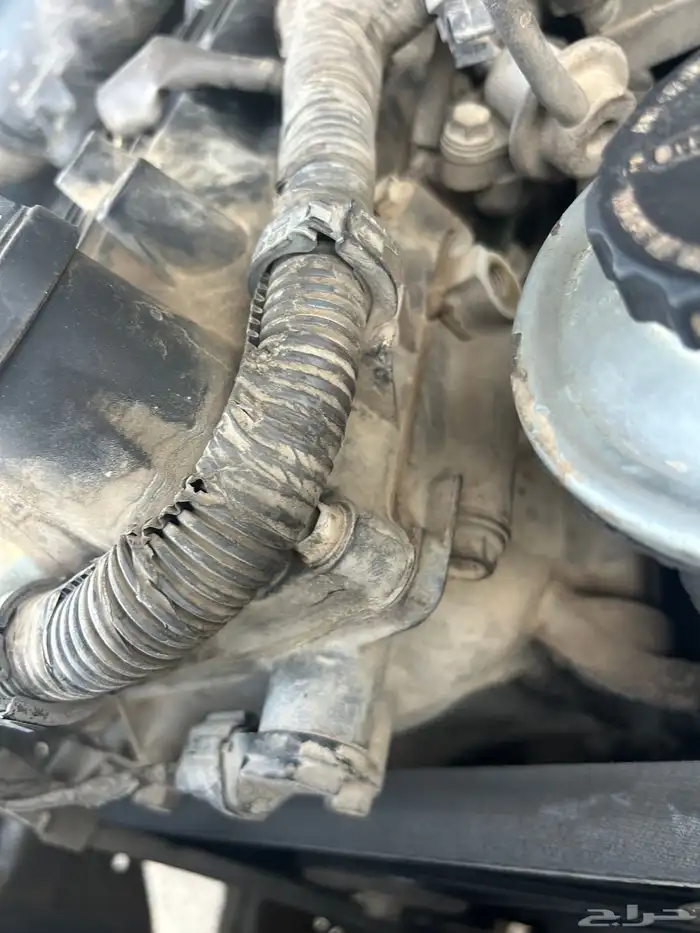 هايلكس غمارتين 22