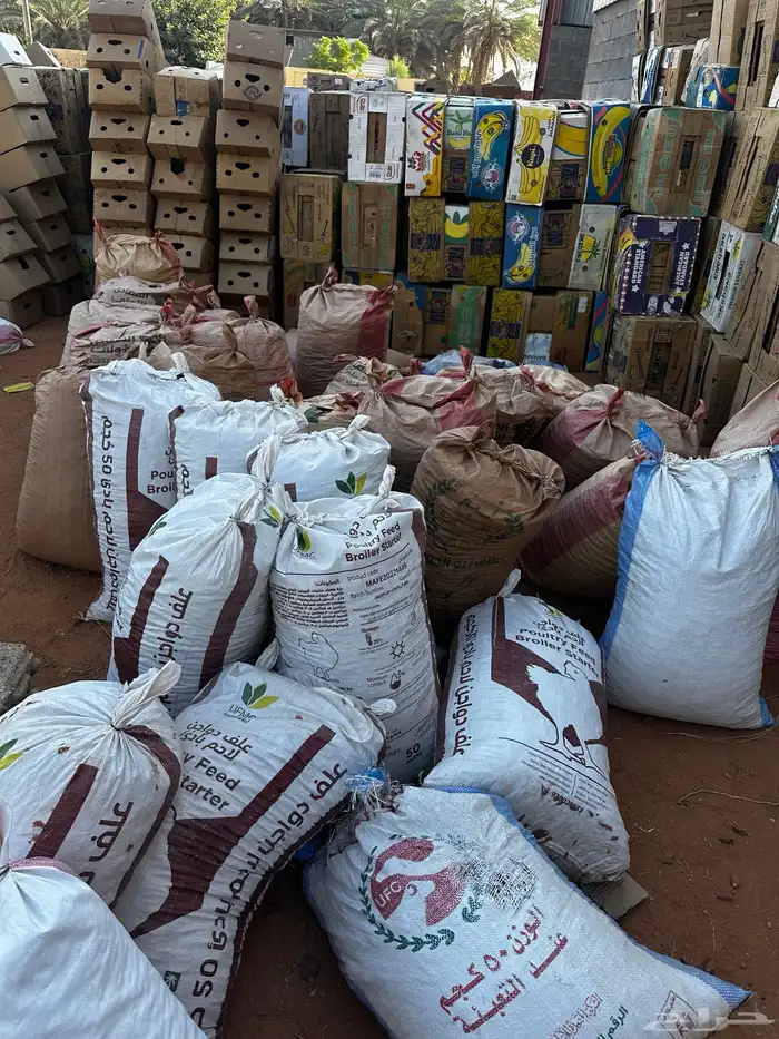 حشف العلا للبيع 0