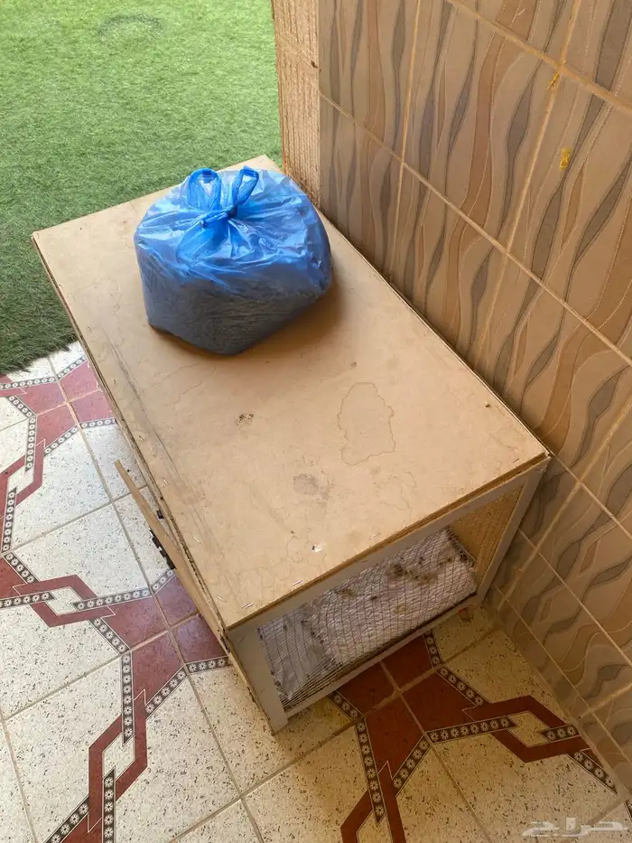 ارانب العمر 3شهور مع شبكه وعلافه سليم شرط 2