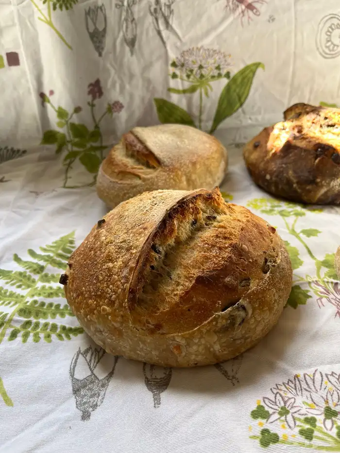 خبز الساوردو مخمر بخميرة طبيعية 7