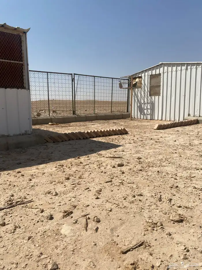 مخيم للبيع بكامل ملحقاته 12