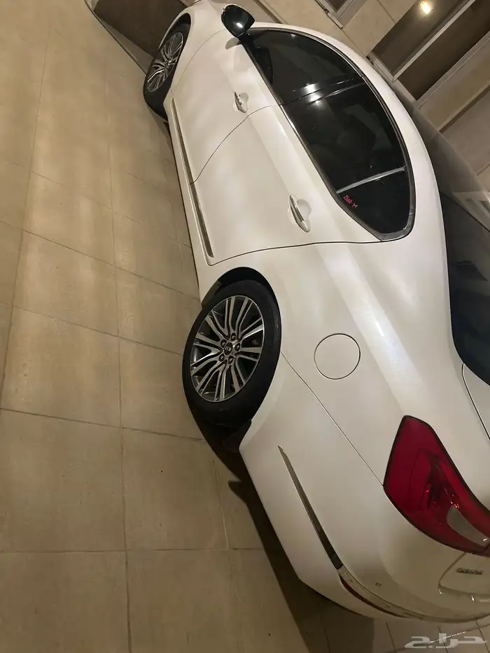 كادينزا 2015 0